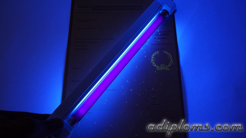 Академическая справка Фото Академическая справка Фото