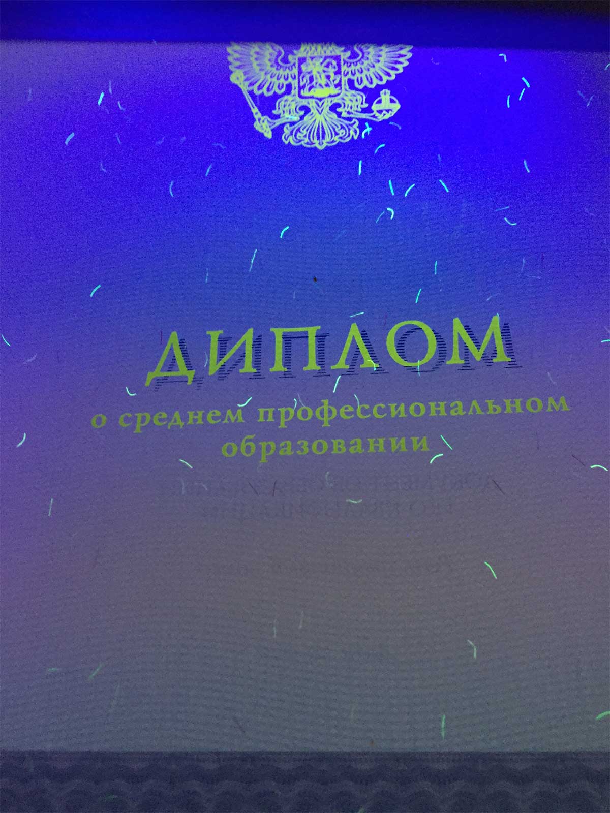Диплом техникума, колледжа 2014-2025 Фото Диплом техникума, колледжа 2014-2025 Фото